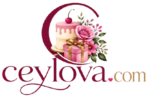 ceylova.com